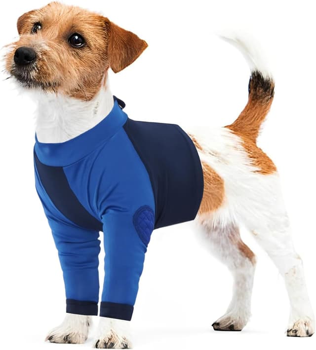 Detalle de LeLePet Dog Recovery Suit for front legs, Blue L
