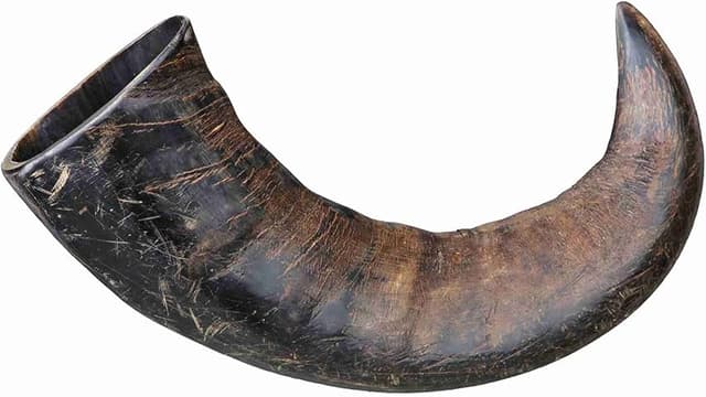 Imagen de Trixie Masticable Búfalo Antlers para Perros en OfertitasTOP