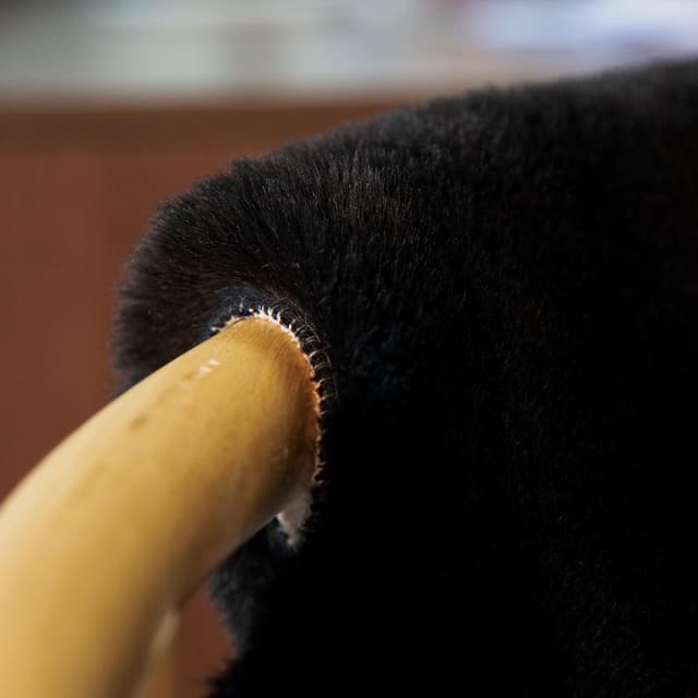 Thumbnail 2 de ORINOVA Teppich Fellteppich 60x90 cm 🏠