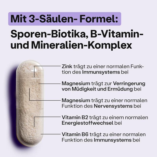 Thumbnail 6 de fairment SuperMikroben® Plus mit 3 Bakterienstämmen – Sporen-Biotik, B-Vitamine & Mineralien, 60 Kapseln