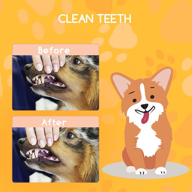 Thumbnail 6 de Nobleza Os à Mâcher 30 cm