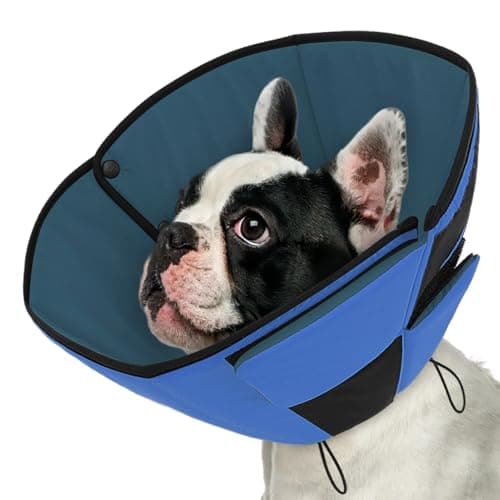 Imagen de Queenmore Soft Dog Cone for Medium M en OfertitasTOP