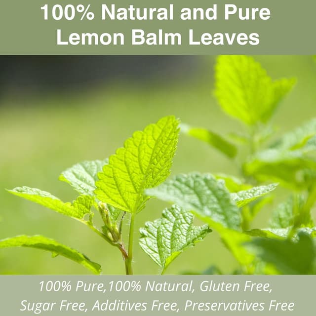 Detalle de Melissentee Beutel mit 50 Teebeuteln aus getrockneten Melissenblättern – koffeinfreier Kräutertee für heiß oder kalt