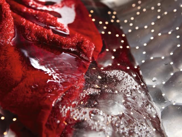 Thumbnail 4 de Miele WTD 163 WCS Waschtrockner 8/5 kg