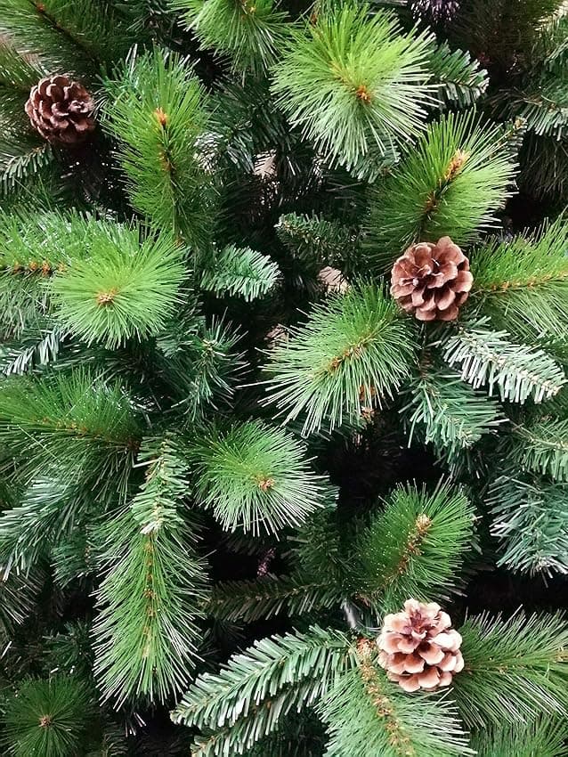 Thumbnail 2 de Solagua Árbol 180cm árbol Navidad 690Tips 🎄