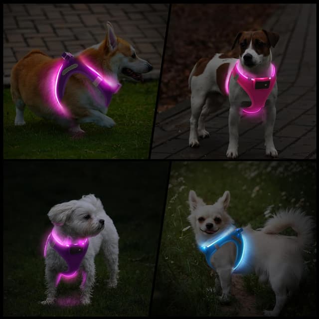 Thumbnail 6 de PcEoTllar Light Up Dog Harness with Rechargeable LED (Waterproof, Reflective) – Purple