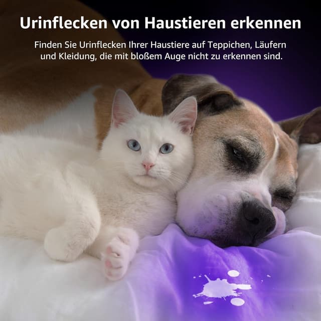 Thumbnail 1 de Lepro HD51 UV-Taschenlampe 395 nm für Haustierurin