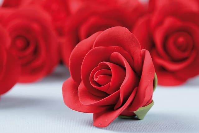 Thumbnail 4 de Cake Company Feinzuckerrosen 50 Stück rot