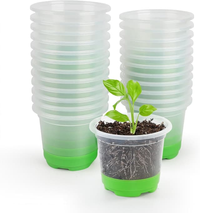 Detalle de MIXC Anzuchttöpfe 24 Stück 10 cm Transparent