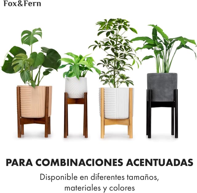 Thumbnail 4 de Fox&Fern Maceta Grande para Interior y Exterior