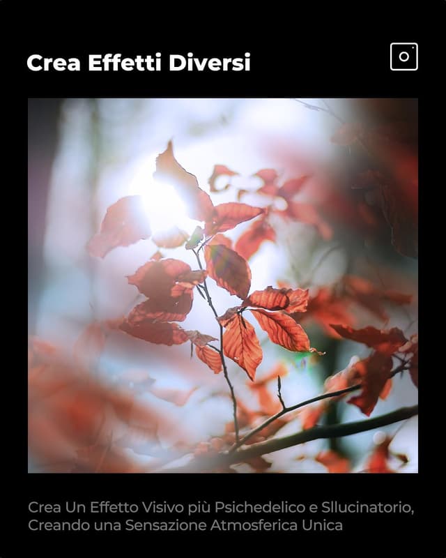 Detalle 2 de K&F CONCEPT filtro prisma diottrico 67mm per effetto bokeh in primo piano