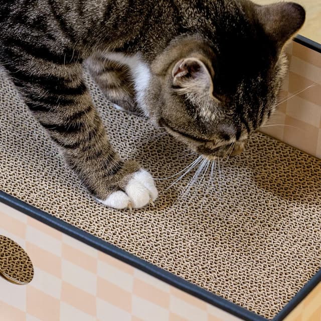 Detalle de Conlun cat scratcher board 41 x 24 cm