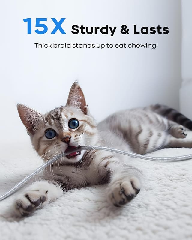 Thumbnail 6 de SENGEXIN USB-C Cable 1m 3-Pack (USB-A to Type C), fast charge & data sync