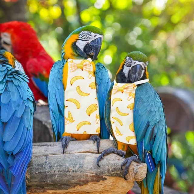 Detalle 2 de SUPERFINDINGS 6-pack reusable bird diapers for parrots & cockatiels (washable waterproof nappy) – S-M