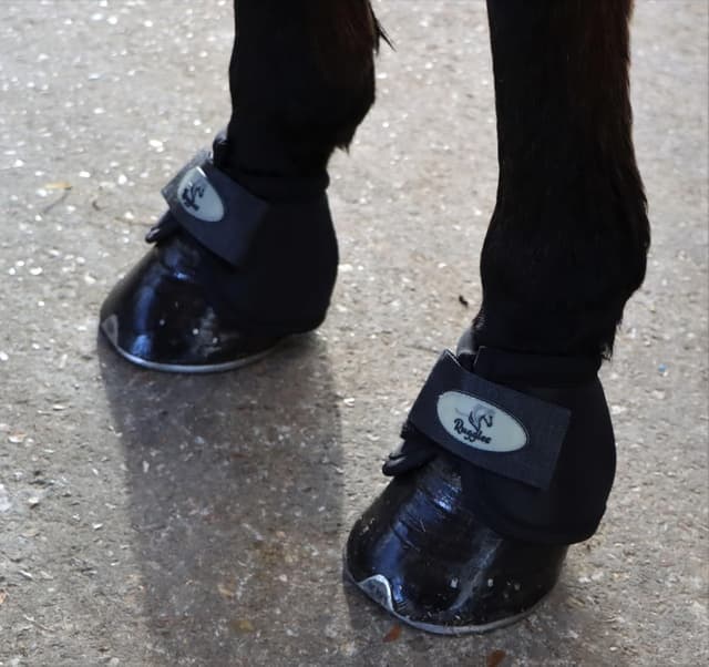 Detalle 2 de Ruggles No Turn Over Reach Boots Medium for Horses 🐴