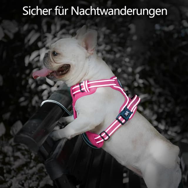 Thumbnail 6 de PoyPet Hundegeschirr ohne Zug mit reflektierenden Elementen, weich gepolsterte Weste und Steuergriff – für große Hunde (Rosa, XL)