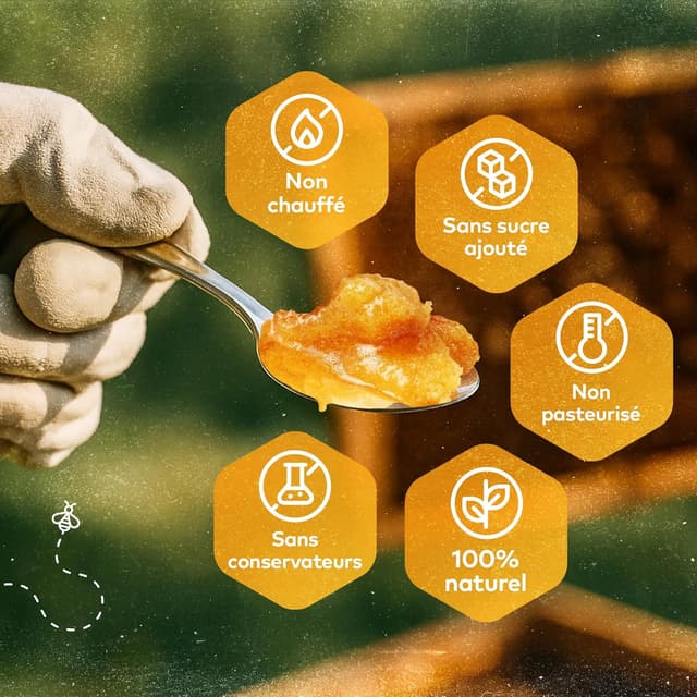 Thumbnail 3 de Miel brut de fleurs sauvages 1kg đŻ