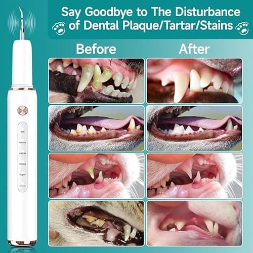 Detalle 2 de FIVAVA Zahnsteinentferner für Hunde und Katzen – Zahnpflegeset mit 5 Reinigungsmodi, vibrierender Ultraschall-Technologie & LED