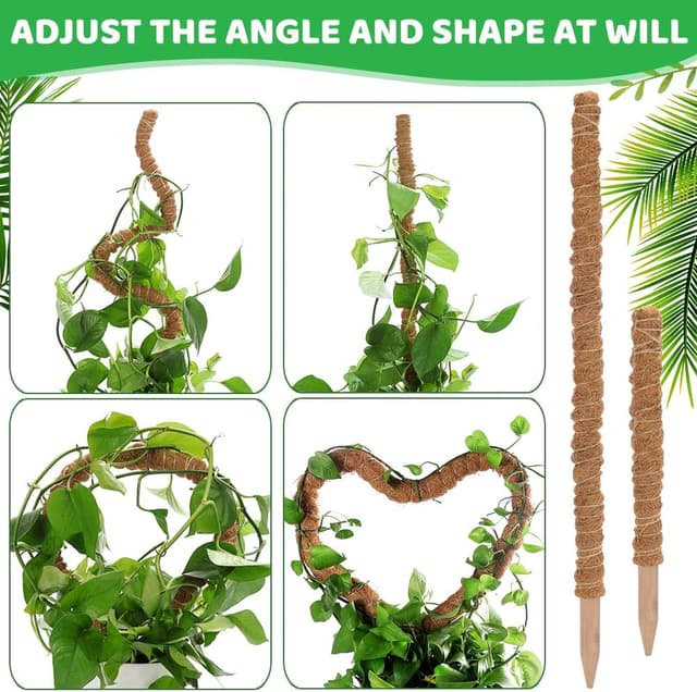Thumbnail 5 de Aileem Moss Poles 122 cm plant support for climbers