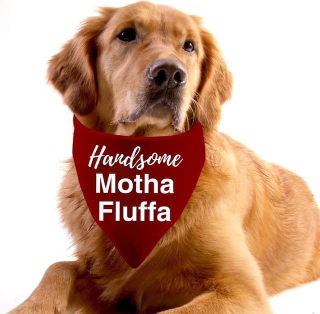Detalle 2 de Generic “Handsome Motha Fluffa” dog bandana (Handsome Red) – 1 piece, funny phrase pet neckerchief