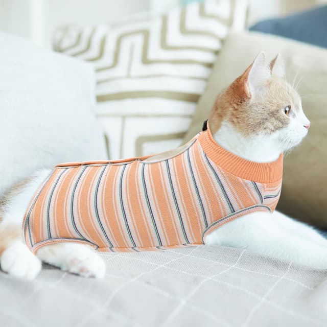 Thumbnail 5 de CITÉTOILE Katzenbody XS 🐾