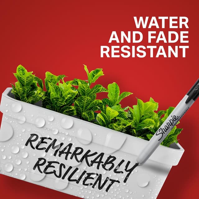 Detalle 2 de Sharpie Retractable Fine Black Markers 12