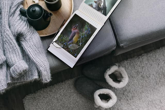 Detalle 2 de Walther Design Album photo bordeaux 29 x 32 cm Simili cuir avec frettes en relief, Classic FA-372-R