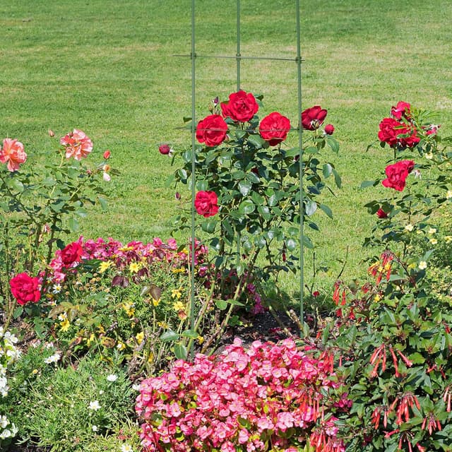 Detalle de Relaxdays : lot de 6 tuteurs à tomates avec 4 anneaux réglables, métal et plastique (90 cm)