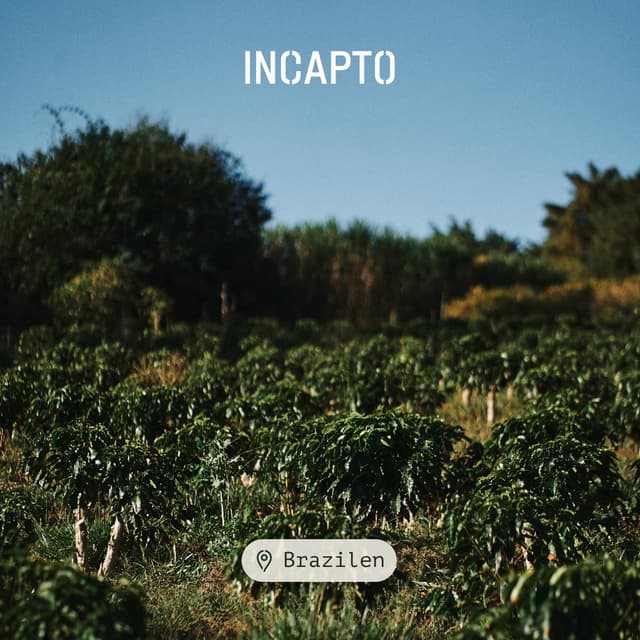 Thumbnail 4 de Incapto Spezialitäten-Kaffeebohnen Espresso 1 kg