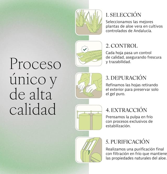 Detalle de Plameca Aloe Verum Premium (1L) — jugo puro de aloe vera con pulpa, sin aloína