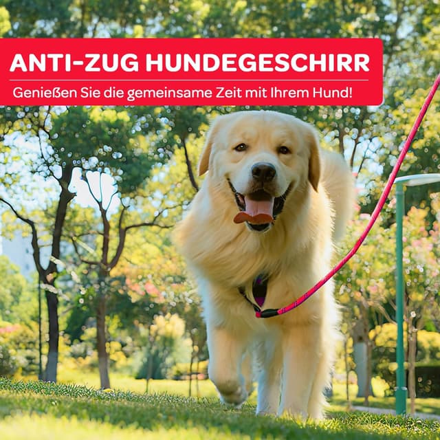 Thumbnail 6 de FURRYFECTION Anti-Zug Hundegeschirr mit Y-Form, 2 Leinenringen & atmungsaktivem Brustgeschirr für große Hunde