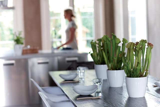 Thumbnail 1 de Elho Brussels Diamond Round 25 - Macetero Interior Rojo 🌺