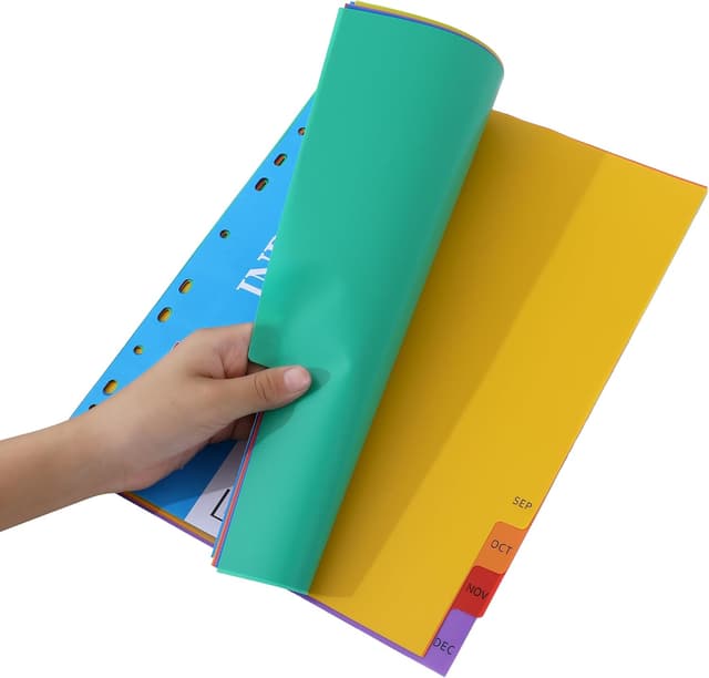 Detalle de A4 1-12 month dividers 10 pack