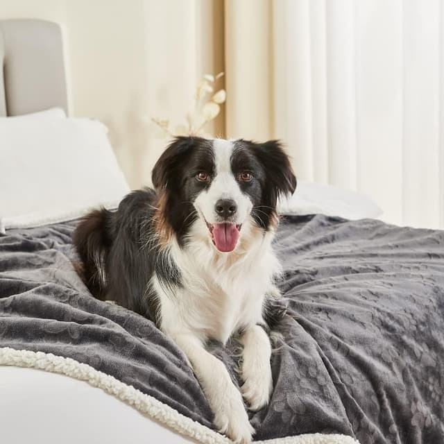 Thumbnail 2 de Qeils Dog Blanket 60x80 for Large Dogs 🐾