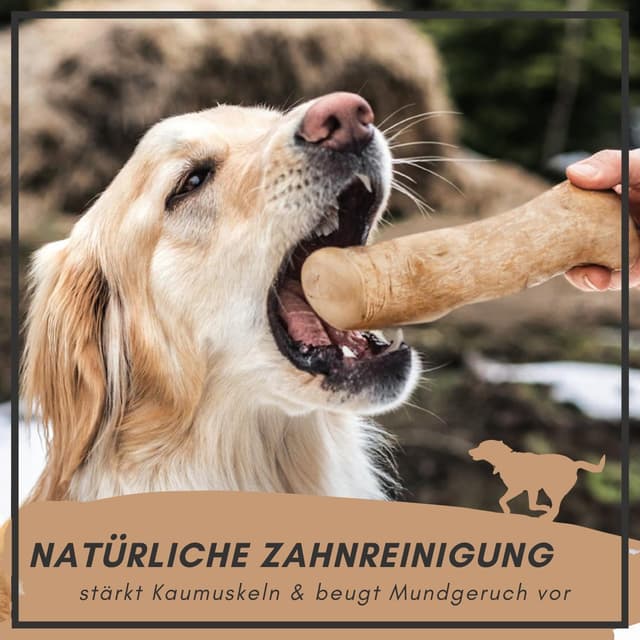Detalle de Supravit Natürlicher Kauknochen aus Kaffeeholz für Hunde L (Kaustab / Kaffeeholz-Kauspielzeug)