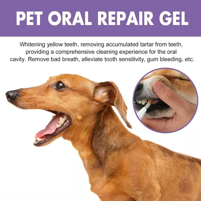 Thumbnail 4 de 4‑Piece Dog Teeth Cleaning Kit