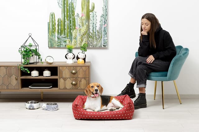 Thumbnail 4 de Baroni Home Cuccia per Cane 60x70 cm