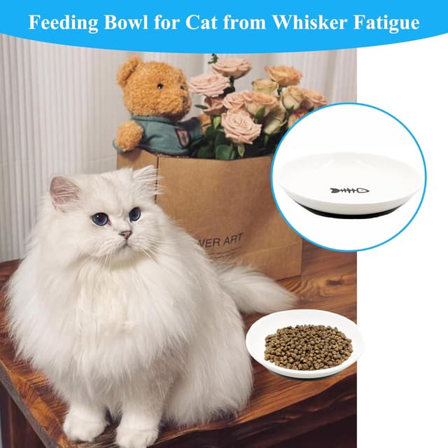 Detalle de CiciIng Katzennapf Flach aus Keramik mit rutschfestem Silikonboden (Fishbone-Muster)