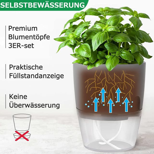 Detalle de iDattel Kräutertopf 18,2 cm