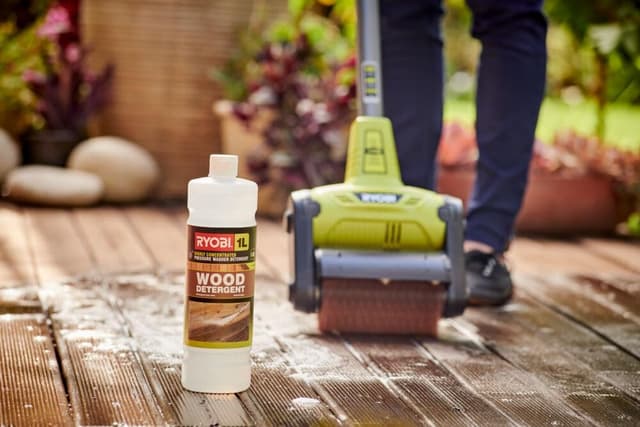 Thumbnail 2 de Ryobi Spazzola di pulizia