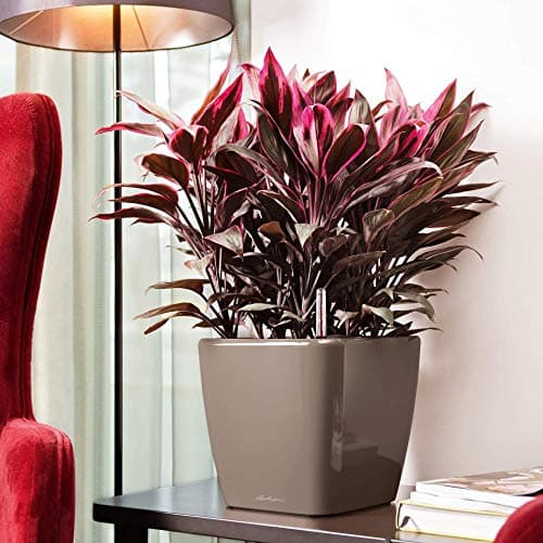 Thumbnail 3 de Lechuza Quadro Premium LS 28 28 cm blanco brillante