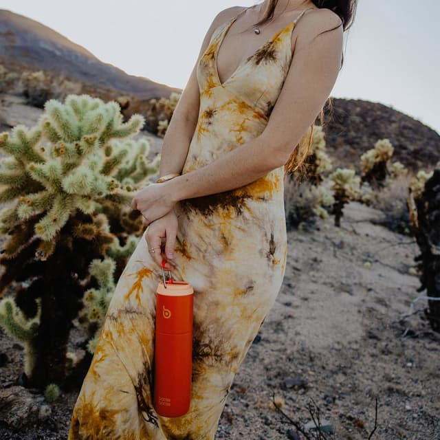 Detalle 2 de BOTTLE BOTTLE isolierte Edelstahl-Trinkflasche 750 ml mit Strohhalm, Deckel & Griff (BPA-frei, doppelwandig)