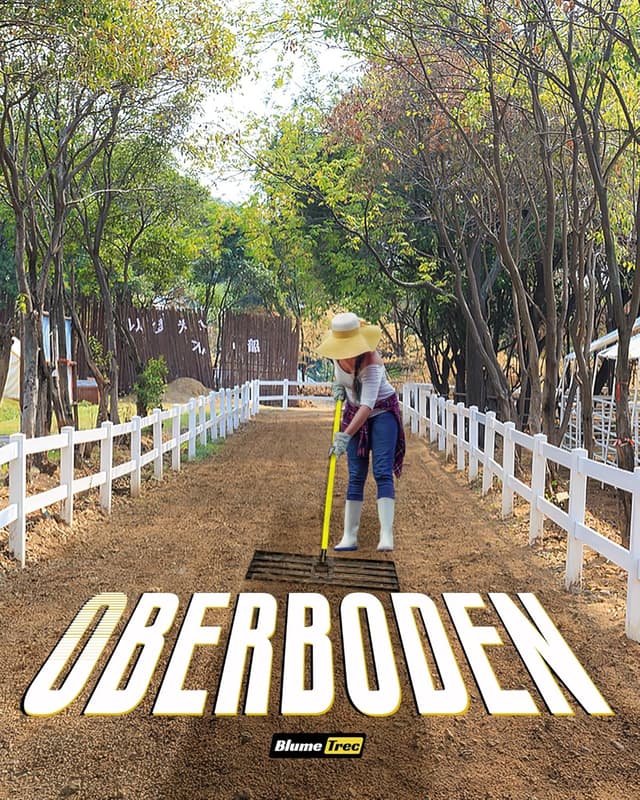 Thumbnail 3 de BlumeTrec Rasen-Nivellierungsrechen (2,13 m) – 76 x 25 cm, Stahlgriff, verstellbar für Hof, Garten & Golfplatz