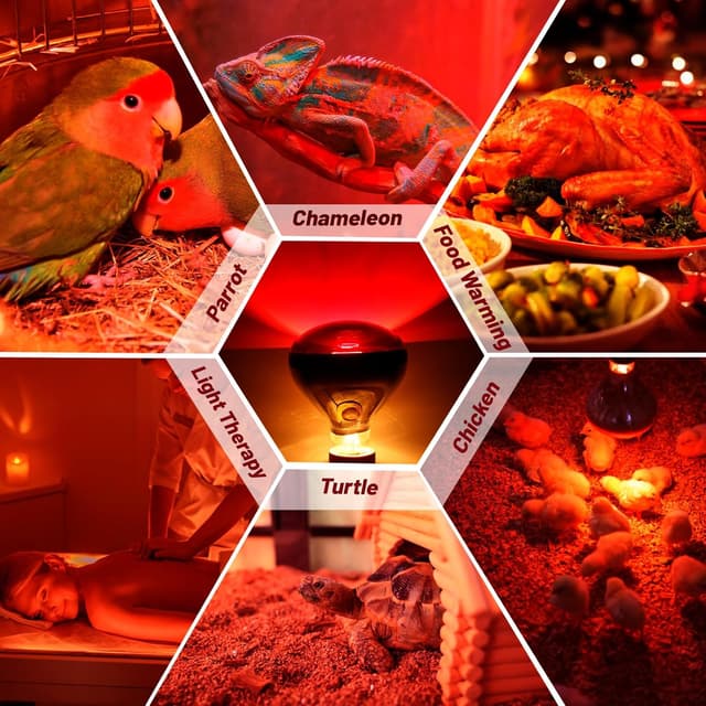 Thumbnail 6 de E27 R125 Infrarotlampe 250W Wärmelampe