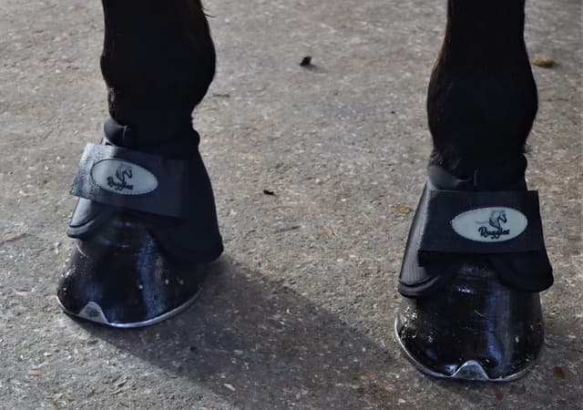 Detalle de Ruggles No Turn Over Reach Boots Medium for Horses 🐴