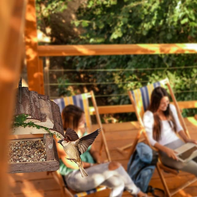 Thumbnail 2 de Relaxdays Mangeoire pour Oiseaux en Bois