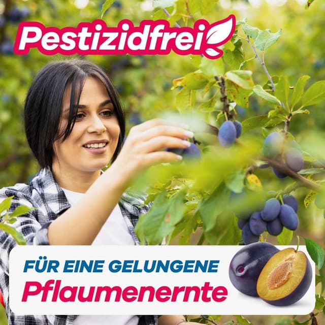 Detalle de Bio Pflaumenwicklerfalle (Pheromonfalle) mit Lockstoffen – 2 Stück für gesunde, wurmfreie Pflaumen