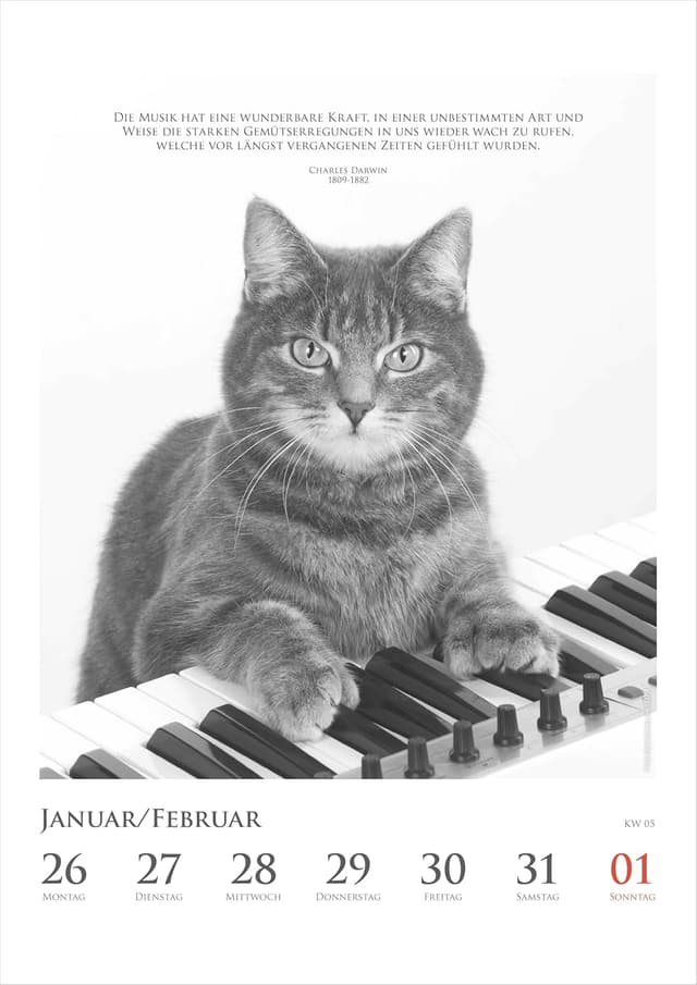 Thumbnail 5 de Alpha Edition Katzenkalender 2026 Wochenkalender