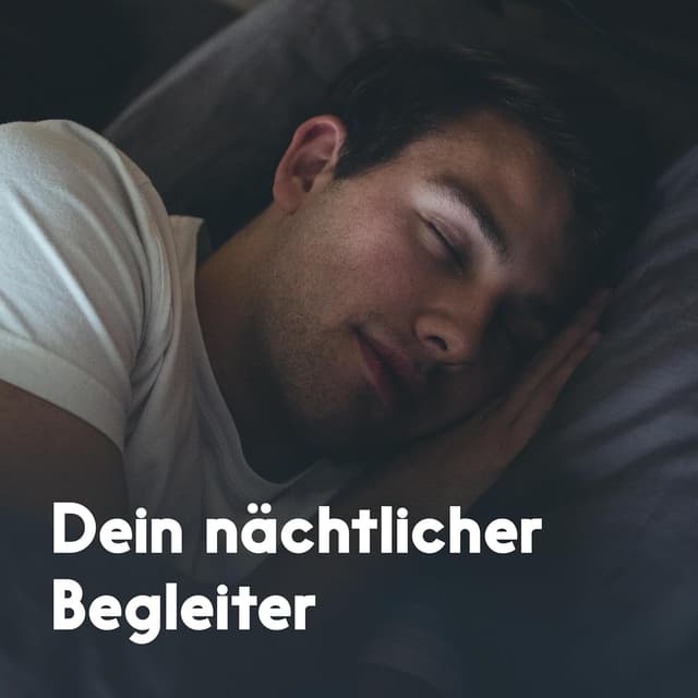 Thumbnail 1 de Melatonin Tabletten 0,5 mg – 400 Stück