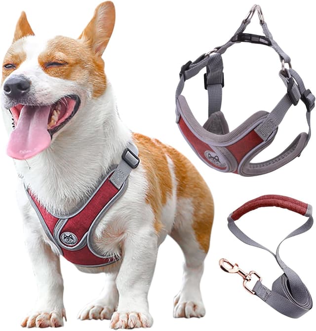 Imagen de Wocharm Dogs Breathable Harness M, adjustable leash 🐕 en OfertitasTOP